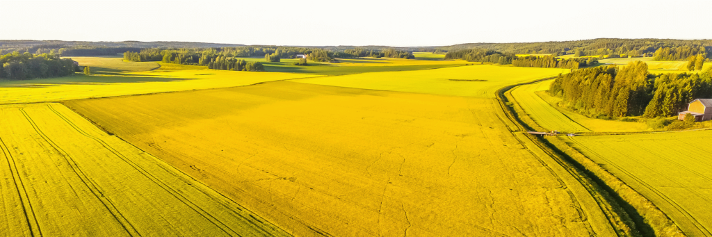 Mitigating the environmental impacts of crop cultivation: The BlackGrain from Yellow Fields® take